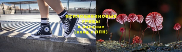 apvp Надым