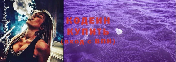 ГАЛЛЮЦИНОГЕННЫЕ ГРИБЫ Михайлов